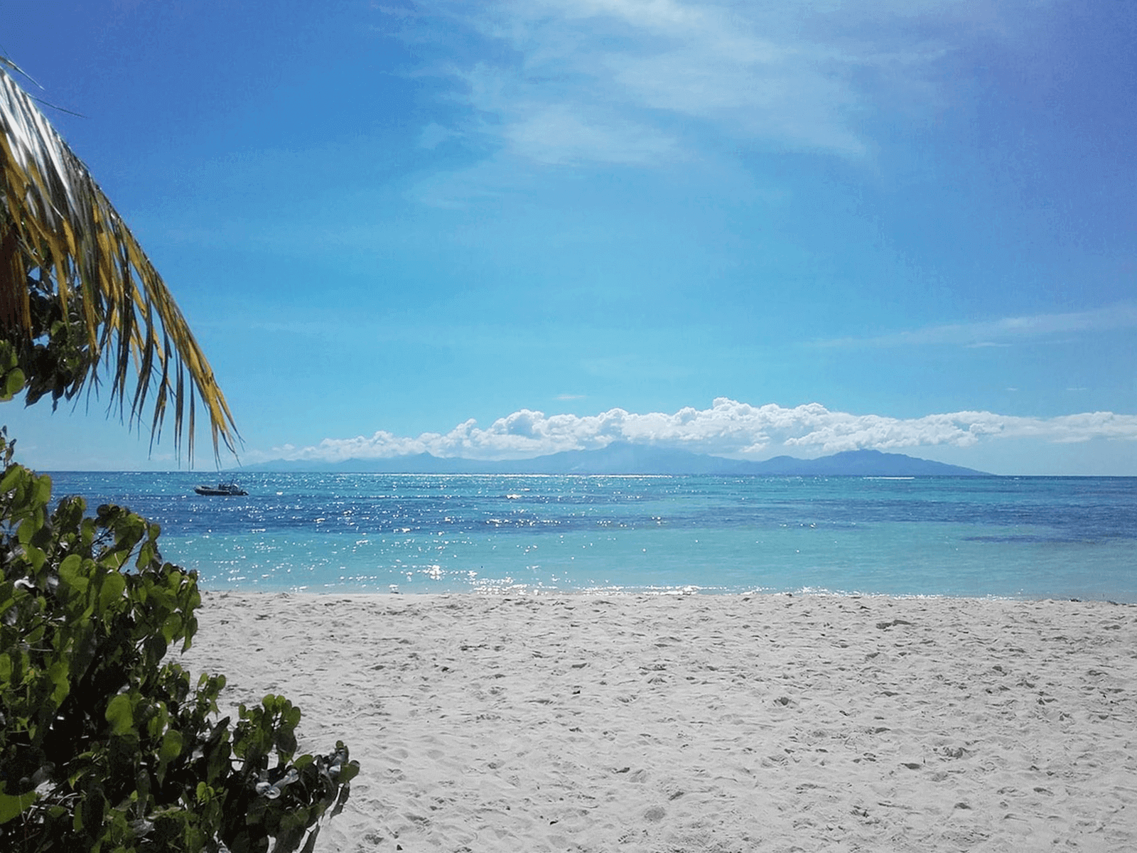 Location villa ile marie-galante luxe plage paradisiaque