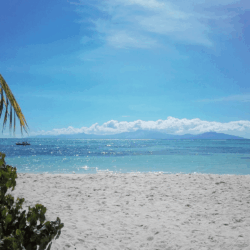Location villa ile marie-galante luxe plage paradisiaque Location villa ile marie-galante luxe plage paradisiaque