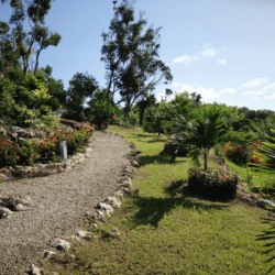 Location villa ile marie-galante piscine jardin paradisiaque Location villa ile marie-galante piscine jardin paradisiaque