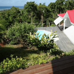 Location villa ile marie-galante piscine milieu de la foret